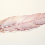 Dream meaning feather