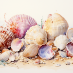 Dream meaning seashells