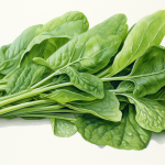 Dream meaning spinach